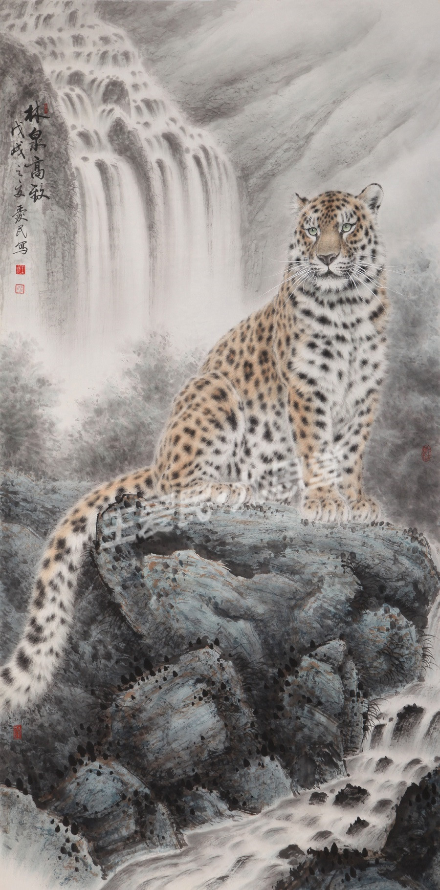 花豹王